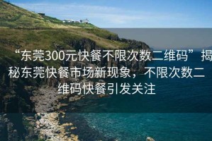 “东莞300元快餐不限次数二维码”揭秘东莞快餐市场新现象，不限次数二维码快餐引发关注