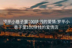 罗平小巷子里100块钱的爱情:罗平小巷子里100块钱的爱情店