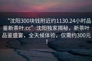 “沈阳300块钱附近约1130.24小时品鉴新茶叶.cc”沈阳独家揭秘，新茶叶品鉴盛宴，全天候体验，仅需约300元！