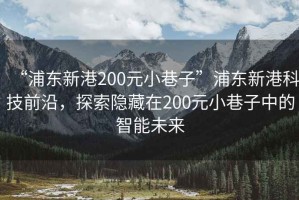 “浦东新港200元小巷子”浦东新港科技前沿，探索隐藏在200元小巷子中的智能未来