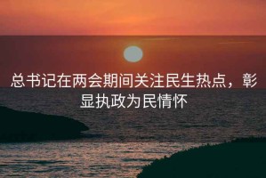 总书记在两会期间关注民生热点，彰显执政为民情怀