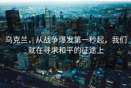 乌克兰，从战争爆发第一秒起，我们就在寻求和平的征途上