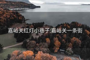 嘉峪关红灯小巷子:嘉峪关一条街