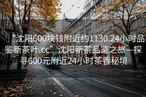 “沈阳600块钱附近约1130.24小时品鉴新茶叶.cc”沈阳新茶品鉴之旅—探寻600元附近24小时茶香秘境