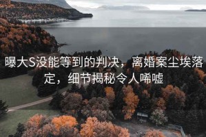 曝大S没能等到的判决，离婚案尘埃落定，细节揭秘令人唏嘘