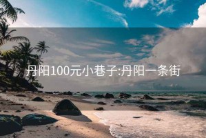 丹阳100元小巷子:丹阳一条街