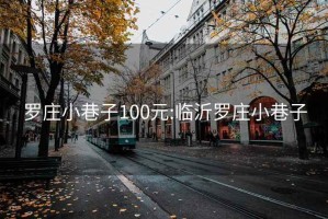 罗庄小巷子100元:临沂罗庄小巷子