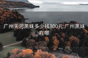 广州天河黑妹多少钱800元:广州黑妹在哪