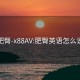 肥臀-x88AV:肥臀英语怎么说