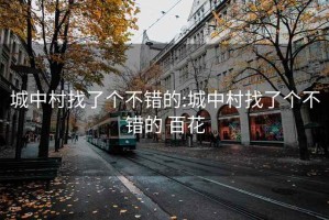 城中村找了个不错的:城中村找了个不错的 百花