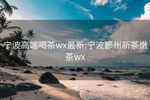 宁波高端喝茶wx最新:宁波鄞州新茶嫩茶wx