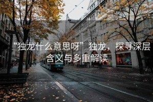 “独龙什么意思呀”独龙，探寻深层含义与多重解读