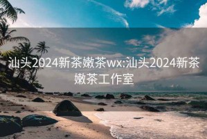 汕头2024新茶嫩茶wx:汕头2024新茶嫩茶工作室