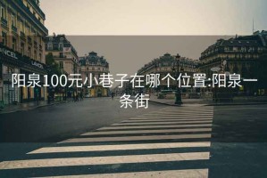 阳泉100元小巷子在哪个位置:阳泉一条街