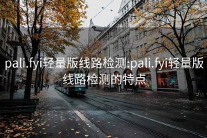 pali.fyi轻量版线路检测:pali.fyi轻量版线路检测的特点