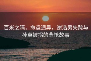 百米之隔，命运迥异，谢浩男失踪与孙卓被拐的悲怆故事