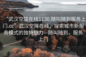 “武汉空降在线1130.随叫随到服务上门.cc”武汉空降在线，探索城市新服务模式的独特魅力—随叫随到，服务上门