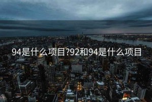 94是什么项目?92和94是什么项目