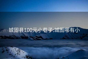 城固县100元小巷子:城固哪有小