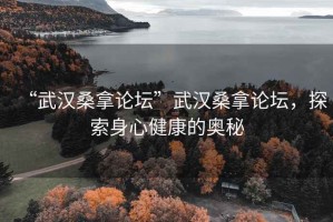 “武汉桑拿论坛”武汉桑拿论坛，探索身心健康的奥秘