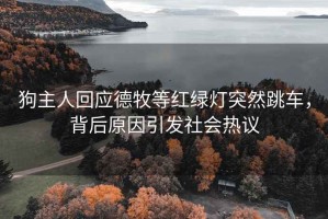 狗主人回应德牧等红绿灯突然跳车，背后原因引发社会热议