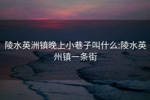 陵水英洲镇晚上小巷子叫什么:陵水英州镇一条街