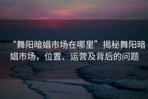 “舞阳暗娼市场在哪里”揭秘舞阳暗娼市场，位置、运营及背后的问题