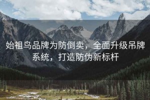 始祖鸟品牌为防倒卖，全面升级吊牌系统，打造防伪新标杆