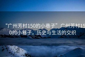 “广州芳村150的小巷子”广州芳村150的小巷子，历史与生活的交织