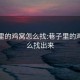 巷子里的鸡窝怎么找:巷子里的鸡窝怎么找出来