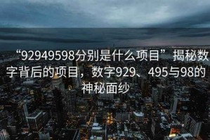 “92949598分别是什么项目”揭秘数字背后的项目，数字929、495与98的神秘面纱