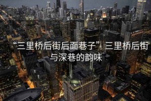 “三里桥后街后面巷子”三里桥后街与深巷的韵味