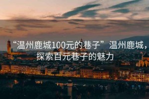 “温州鹿城100元的巷子”温州鹿城，探索百元巷子的魅力