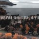 微信扫码约妹:微信扫码约妹子是真的吗