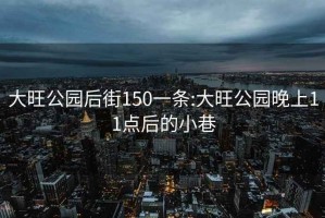 大旺公园后街150一条:大旺公园晚上11点后的小巷