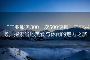 “三亚服务300一次500快餐”三亚服务，探索当地美食与休闲的魅力之旅