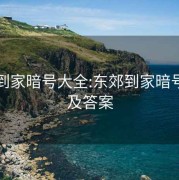 东郊到家暗号大全:东郊到家暗号大全及答案