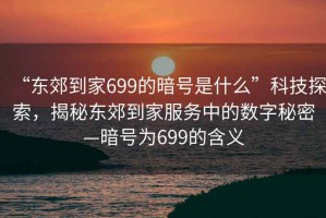 “东郊到家699的暗号是什么”科技探索，揭秘东郊到家服务中的数字秘密—暗号为699的含义