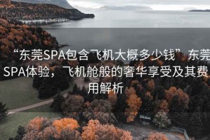 “东莞SPA包含飞机大概多少钱”东莞SPA体验，飞机舱般的奢华享受及其费用解析