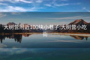 大树营附近100块小巷子:大树营小吃街