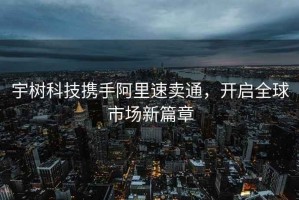 宇树科技携手阿里速卖通，开启全球市场新篇章