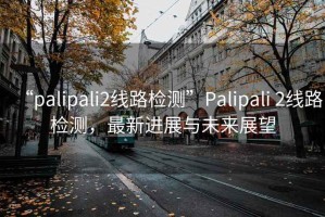 “palipali2线路检测”Palipali 2线路检测，最新进展与未来展望