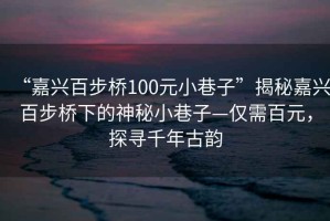 “嘉兴百步桥100元小巷子”揭秘嘉兴百步桥下的神秘小巷子—仅需百元，探寻千年古韵