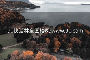 91快活林全国楼凤:www.91.com