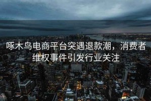 啄木鸟电商平台突遇退款潮，消费者维权事件引发行业关注