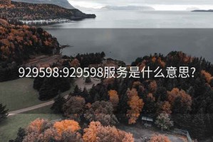 929598:929598服务是什么意思?