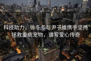 科技助力，徐冬冬与尹子维携手坚持拯救重病宠物，谱写爱心传奇