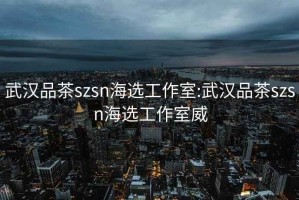 武汉品茶szsn海选工作室:武汉品茶szsn海选工作室威