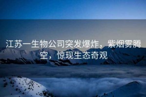 江苏一生物公司突发爆炸，紫烟雾腾空，惊现生态奇观