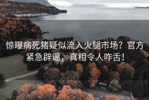 惊曝病死猪疑似流入火腿市场？官方紧急辟谣，真相令人咋舌！